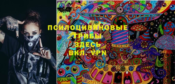 спайс Аркадак
